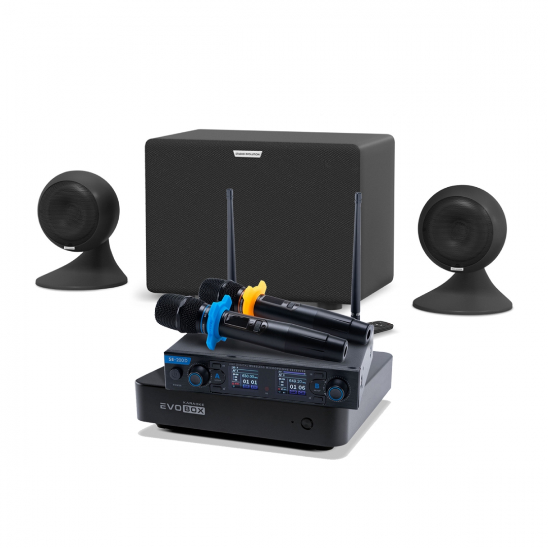 караоке-комплект EVOBOX + EvoSound Sphere 2.1 в Пскове