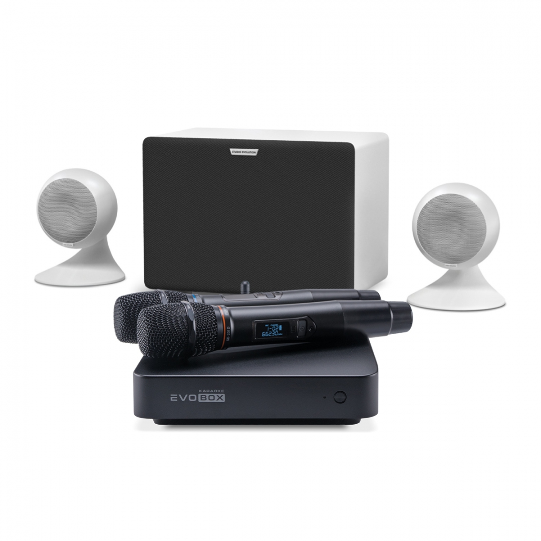 караоке-комплект EVOBOX Classic + EvoSound Sphere 2.1 в Пскове