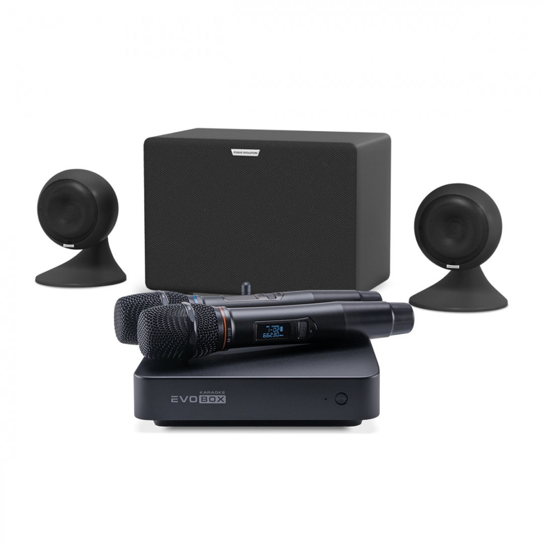 караоке-комплект EVOBOX Plus + EvoSound Sphere 2.1 в Пскове