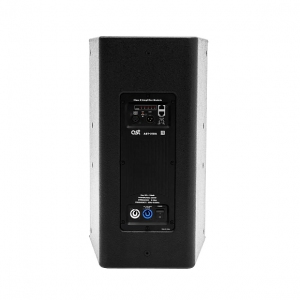 Активная акустическая система AST-310A в Пскове
