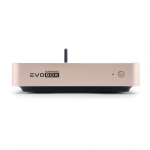 EVOBOX Plus караоке-система для дома в Пскове