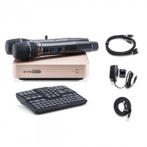 EVOBOX Plus караоке-система для дома в Пскове