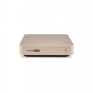 EVOBOX с микрофонами в Пскове