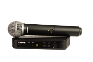 SHURE BLX24E/PG58 M17 вокальная радиосистема в Пскове